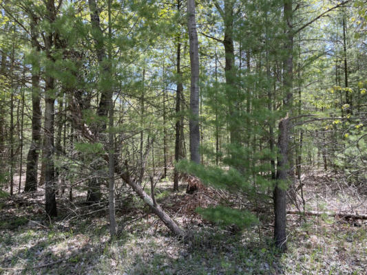 LOT A RED APPLE ROAD, MANISTEE, MI 49660, photo 3 of 13