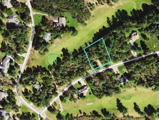 LOT 30 WHITE PINE DRIVE, CADILLAC, MI 49601 - Image 1