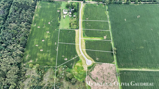 VL GIBSON FARMS DRIVE # PARCEL 2, MIDDLEVILLE, MI 49333, photo 4 of 7