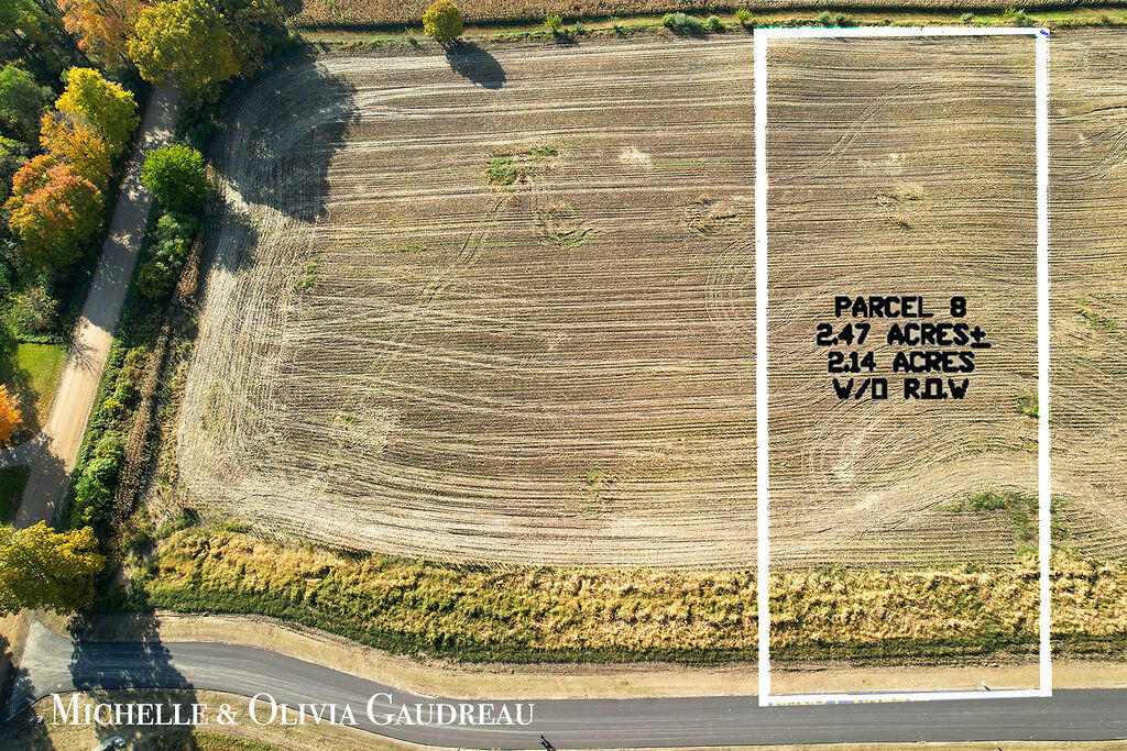 VL GIBSON FARMS DRIVE # PARCEL 8, MIDDLEVILLE, MI 49333, photo 1 of 10