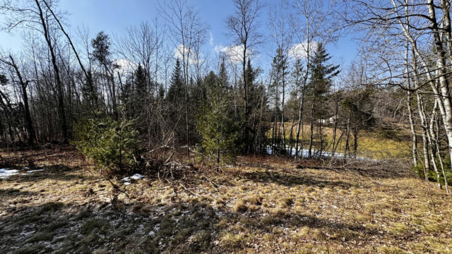 LOT 30 WHITE PINE DRIVE, CADILLAC, MI 49601, photo 5 of 9