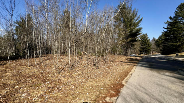 LOT 30 WHITE PINE DRIVE, CADILLAC, MI 49601, photo 4 of 9