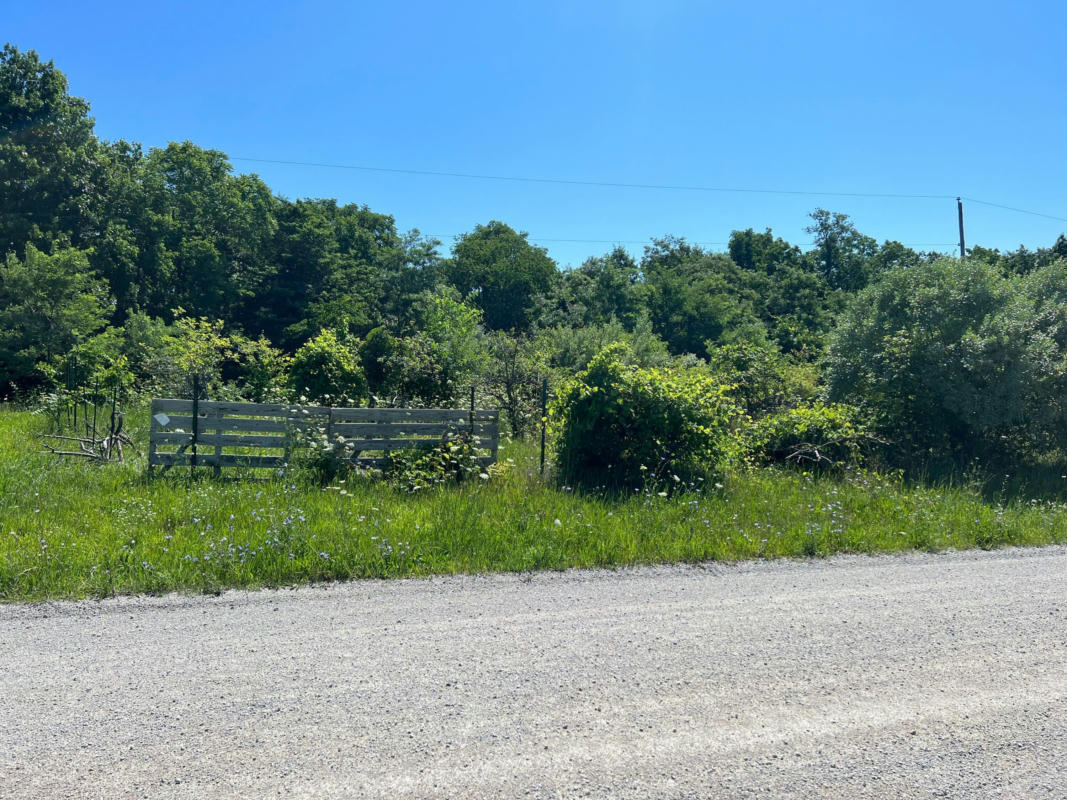 PARCEL A W COUNTY LINE ROAD, GREENVILLE, MI 48838, photo 1 of 20