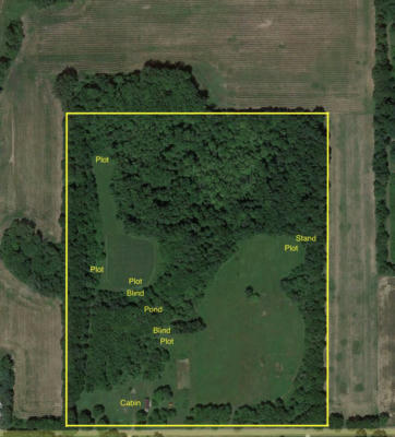 11583 S COUNTY LINE RD, TEKONSHA, MI 49092 - Image 1