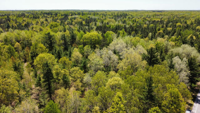 LOT D RED APPLE ROAD, MANISTEE, MI 49660, photo 2 of 17