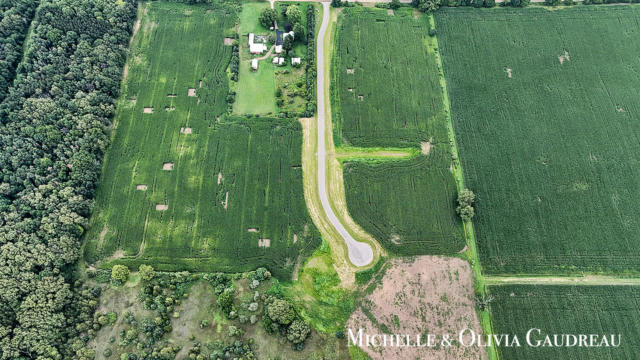 VL GIBSON FARMS DRIVE # PARCEL 2, MIDDLEVILLE, MI 49333, photo 3 of 7