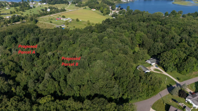 V/L CEDAR LAKE DRIVE, MARCELLUS, MI 49067 - Image 1