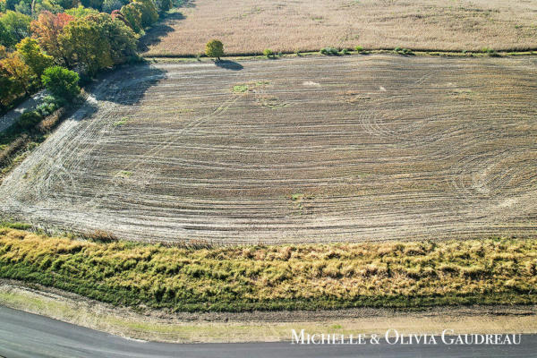 VL GIBSON FARMS DRIVE # PARCEL 8, MIDDLEVILLE, MI 49333, photo 2 of 10