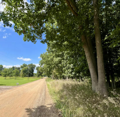 VACANT CHADWICK ROAD, WESTPHALIA, MI 48894 - Image 1