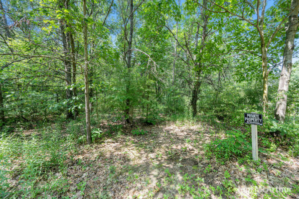 V/L JOHNSON ROAD, GREENVILLE, MI 48838 - Image 1