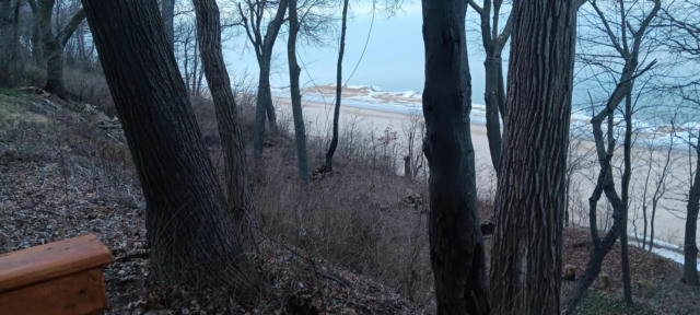 15922 LAKESHORE RD, UNION PIER, MI 49129 - Image 1