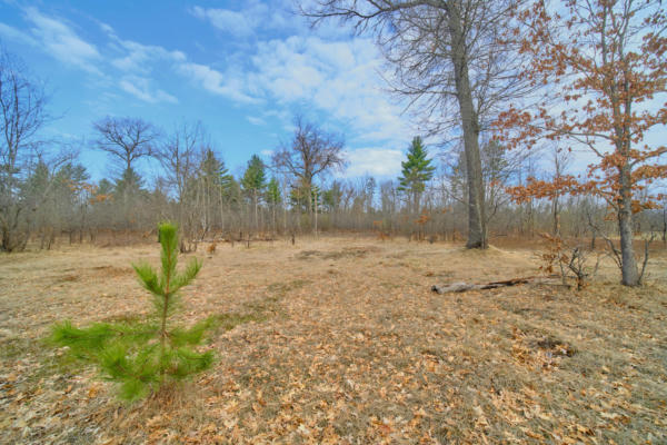 40 ACRES OFF HUSIAR ROAD, WELLSTON, MI 49689, photo 3 of 75