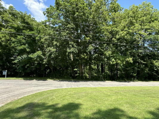 LOT 1 RIVERSIDE DRIVE, CONSTANTINE, MI 49042 - Image 1