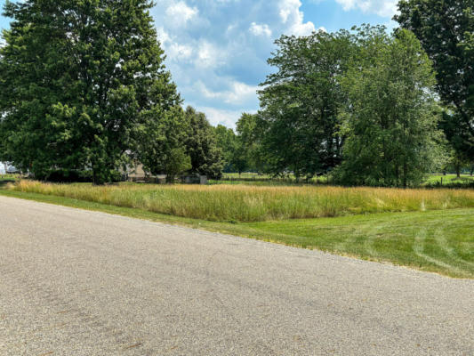 VL BRINK ROAD, BRONSON, MI 49028 - Image 1