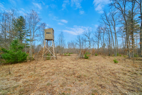 40 ACRES OFF HUSIAR ROAD, WELLSTON, MI 49689, photo 4 of 75