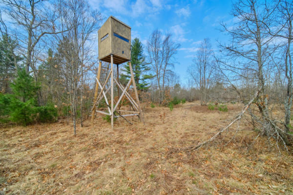 40 ACRES OFF HUSIAR ROAD, WELLSTON, MI 49689, photo 5 of 75