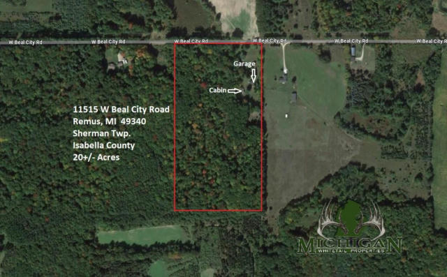 11515 W BEAL CITY RD, REMUS, MI 49340 - Image 1