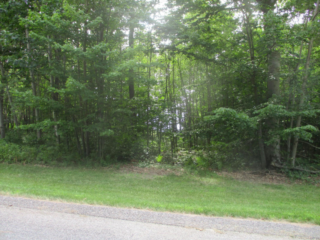 EMERALD RIDGE LOT #13, ONEKAMA, MI 49675, photo 1 of 14