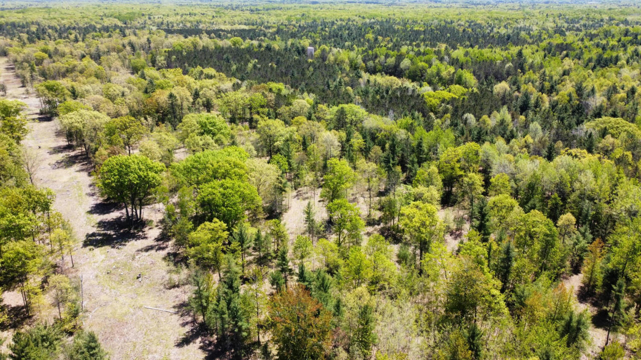 LOT D RED APPLE ROAD, MANISTEE, MI 49660, photo 1 of 17