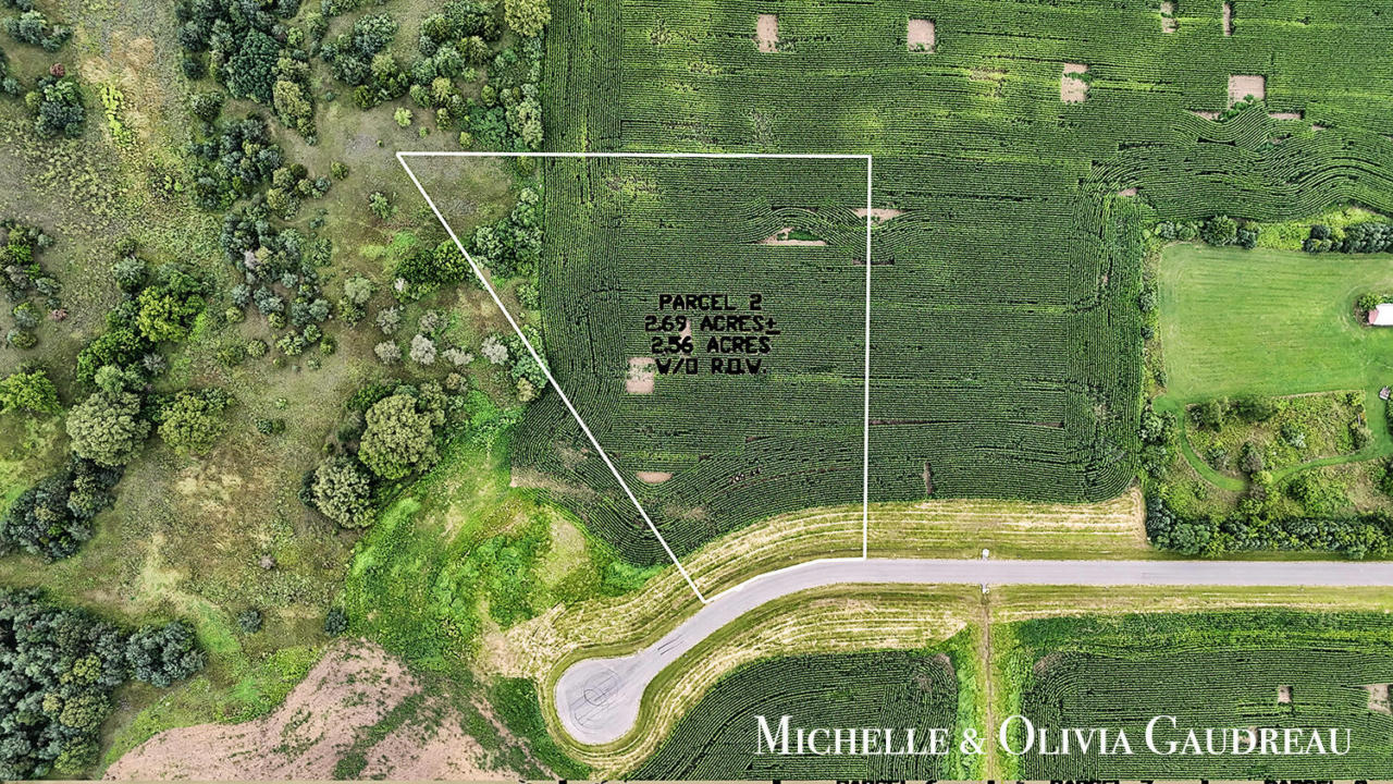 VL GIBSON FARMS DRIVE # PARCEL 2, MIDDLEVILLE, MI 49333, photo 1 of 7