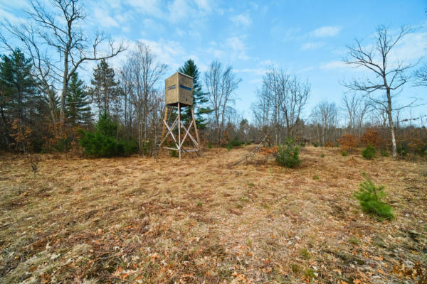 40 ACRES OFF HUSIAR ROAD, WELLSTON, MI 49689, photo 2 of 75