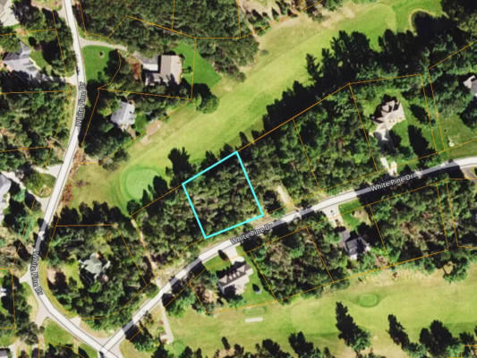 LOT 29 WHITE PINE DRIVE, CADILLAC, MI 49601 - Image 1