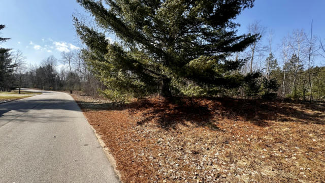 LOT 30 WHITE PINE DRIVE, CADILLAC, MI 49601, photo 3 of 9