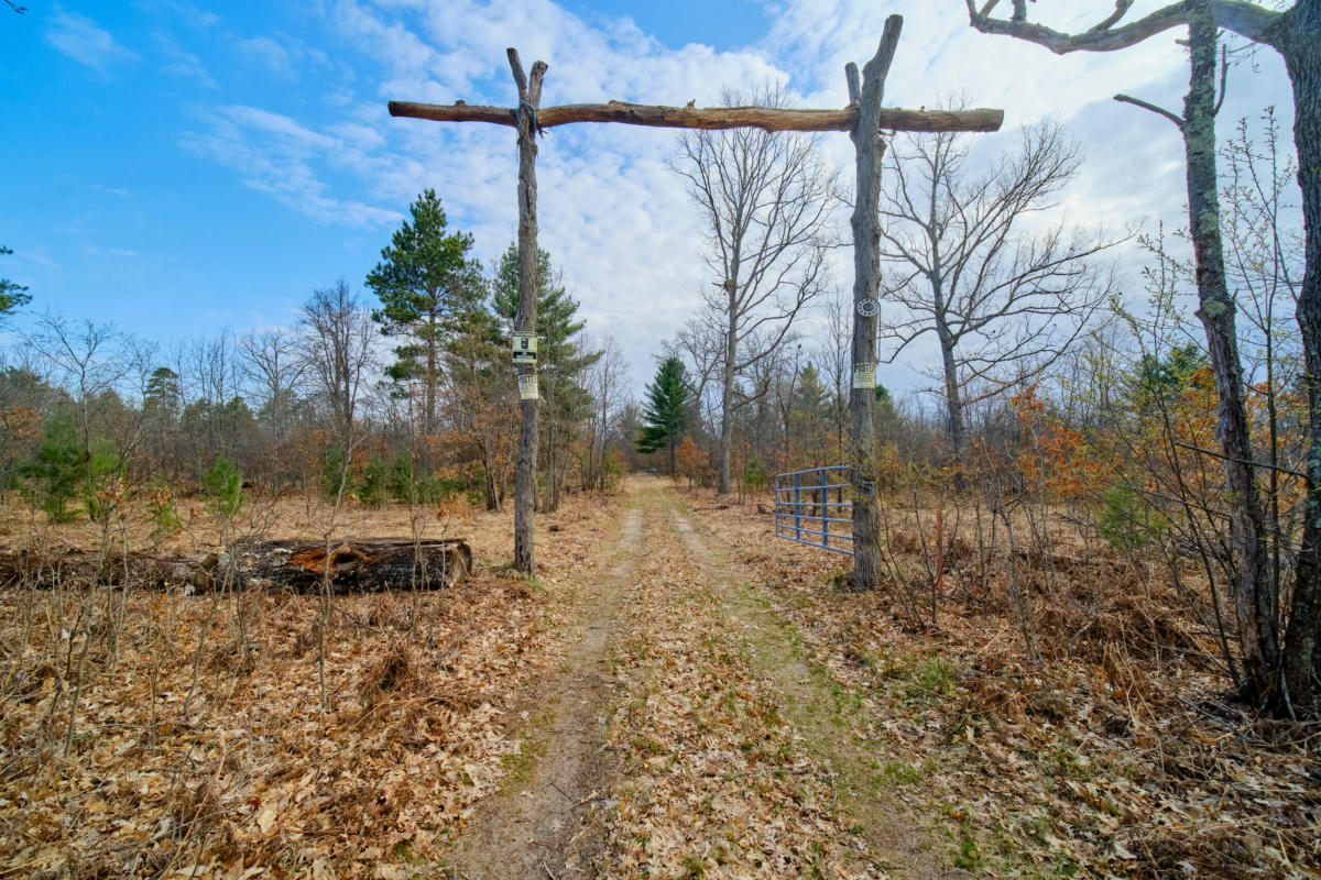 40 ACRES OFF HUSIAR ROAD, WELLSTON, MI 49689, photo 1 of 75